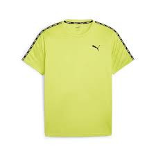 Футболка Puma Essentials Taped Tee 524180-39