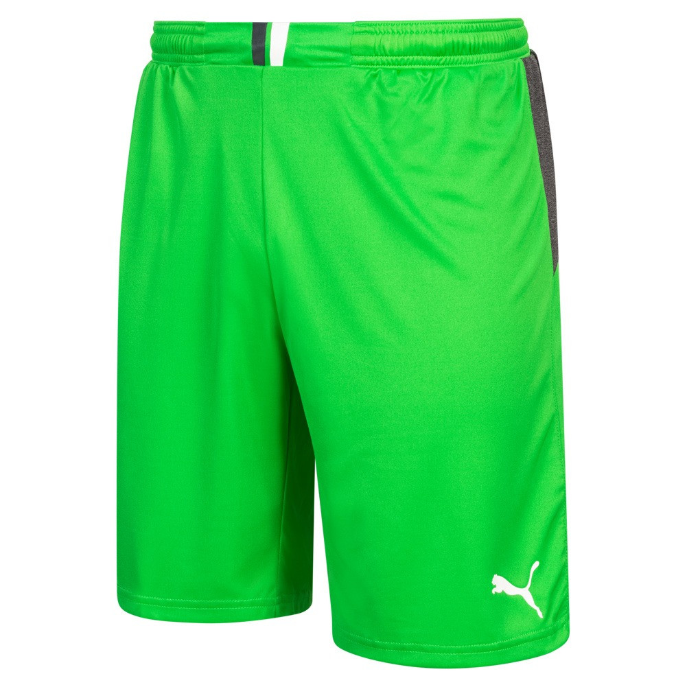 Шорти воротарські PUMA King 701701-43 701701-43