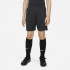 Шорти K NK DF ACD SHORT KZ MAT NOV FD3139-010