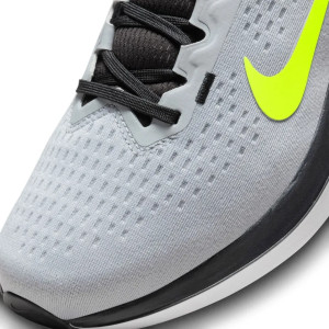 Кросівки Nike Winflo 10 DV4022-007