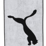 Рушник Puma TEAM TOWEL SMALL 054553-01