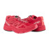 Кросівки Salomon WS Sonic Pro Running Shoe 379170
