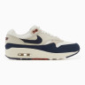Кросівки Nike Air Max 1 LX FD2370-110