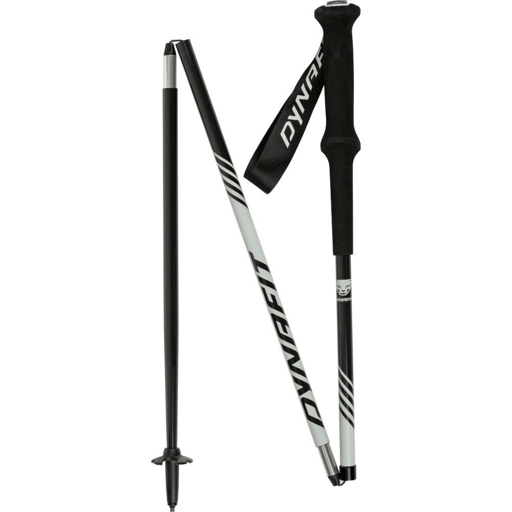 Трекінгові палиці Dynafit Alpine Pro Pole 120 см 016.003.0823