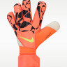 Рукавиці воротарські Nike GK VG3 - HO24 HQ0304-830