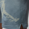Шорти чоловічі Air Jordan Df Sprt Gfx Light Blue HQ8665-041