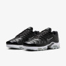 Кросівки чоловічі Nike Air Max Plus П Black FZ4150-001