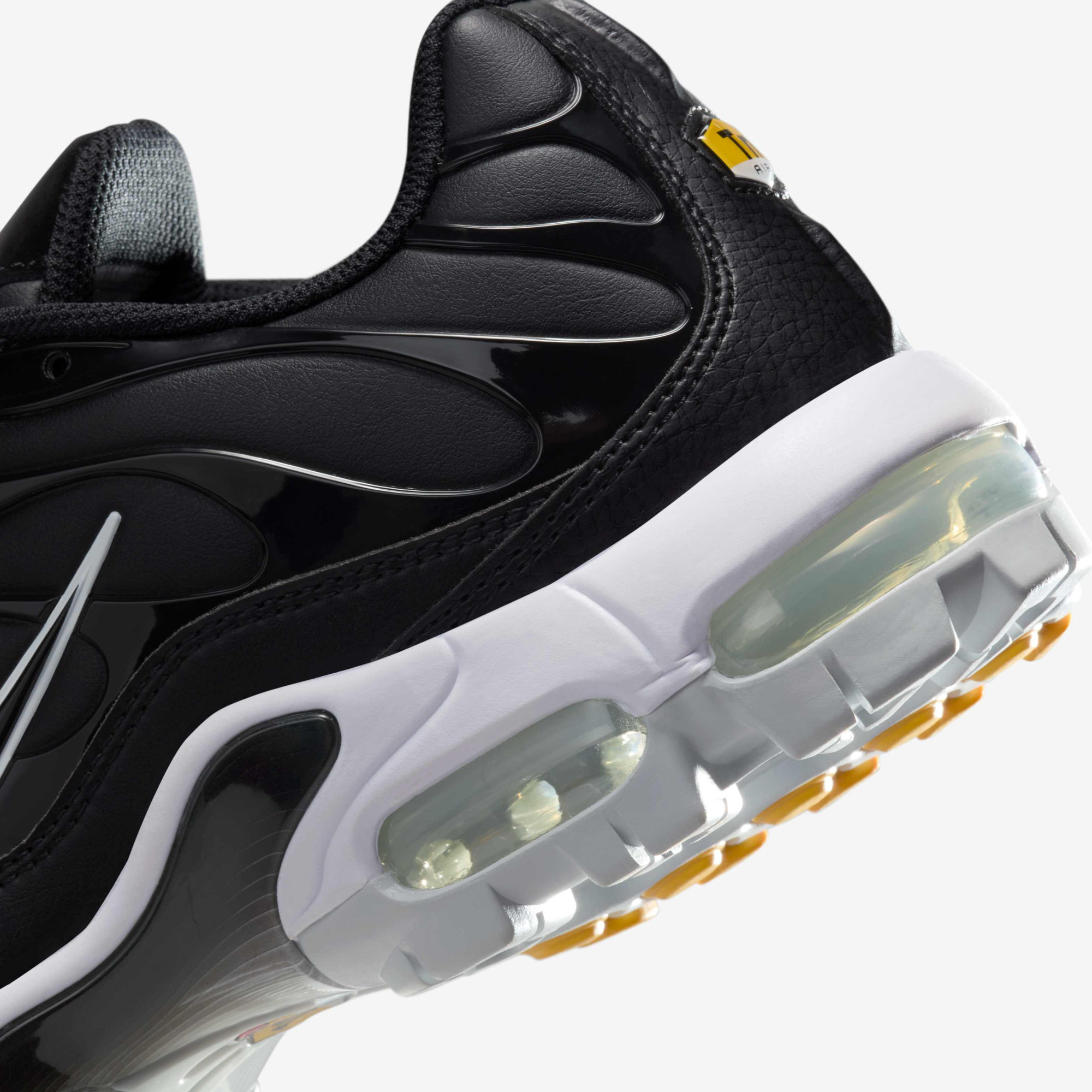 Кросівки чоловічі Nike Air Max Plus П Black FZ4150-001