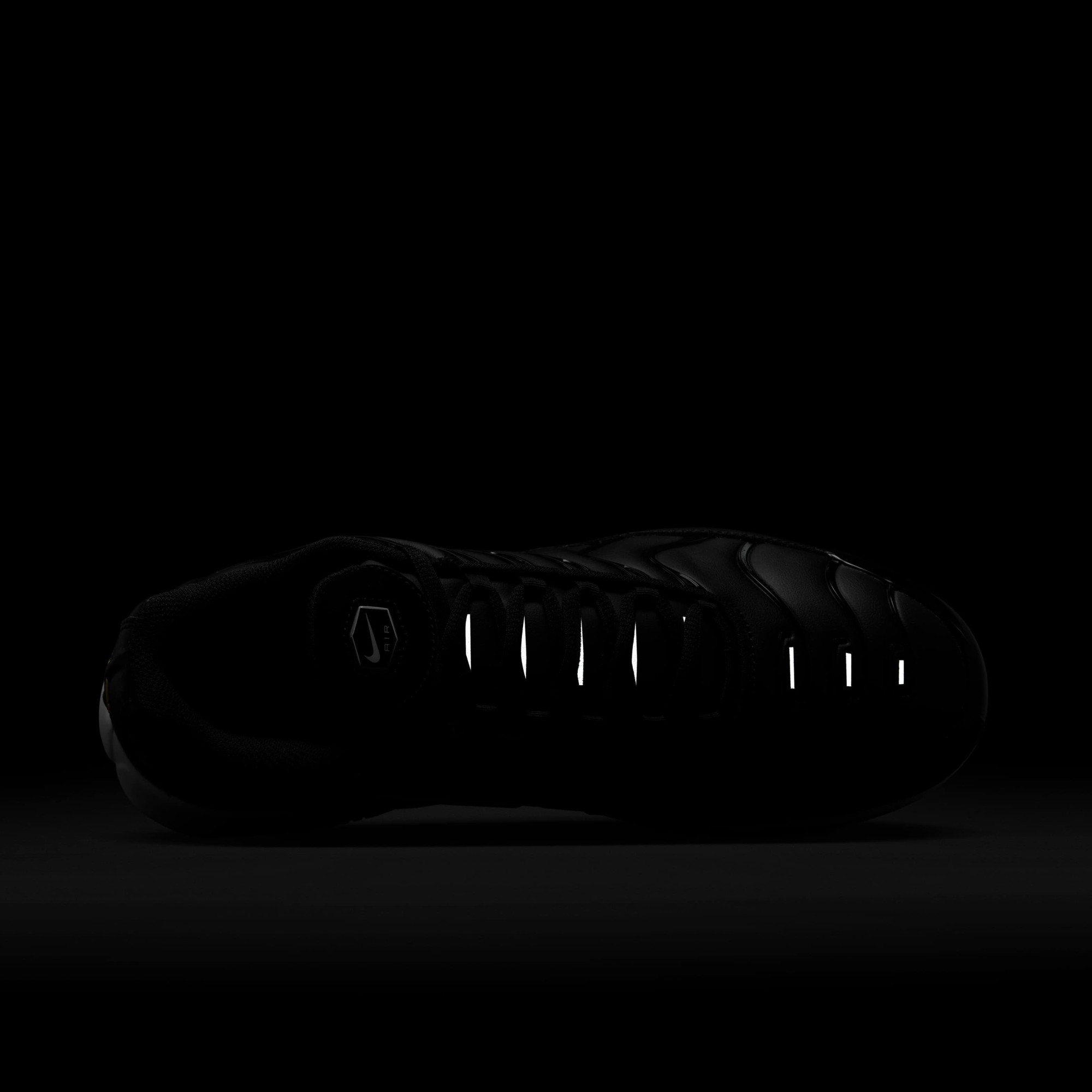 Кросівки чоловічі Nike Air Max Plus П Black FZ4150-001
