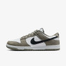 Кросівки Nike DUNK LOW IB3079-300