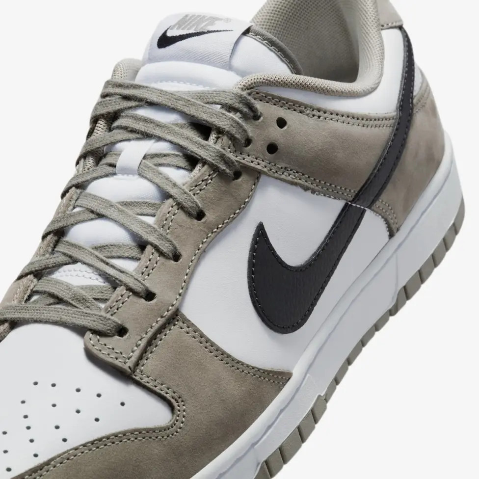 Кросівки Nike DUNK LOW IB3079-300
