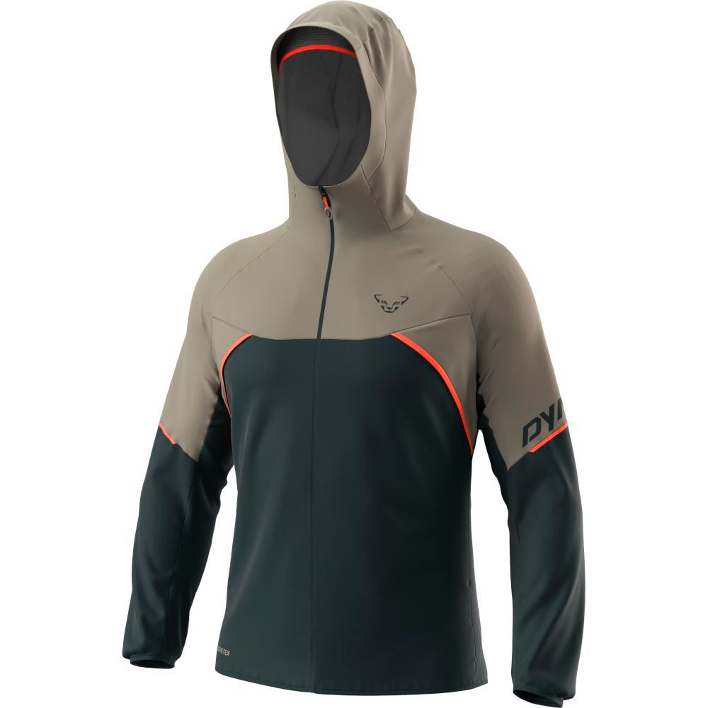 Куртка Dynafit Alpine GTX Mns 016.002.2694
