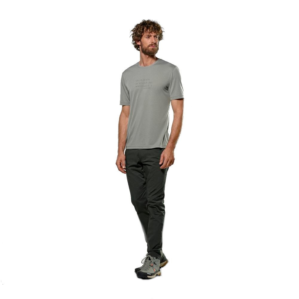 Футболка Salewa Eagle Poem DRY Mns 013.012.0958