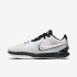 Кросівки Nike LEBRON XXI HF5841-100
