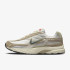 Кросівки Nike INITIATOR HJ7683-072