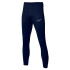 Штани Nike Academy 23 DR1666-451 DR1666-451