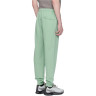Штани Stone Island Green Patch Sweatpants 801564451 V0052