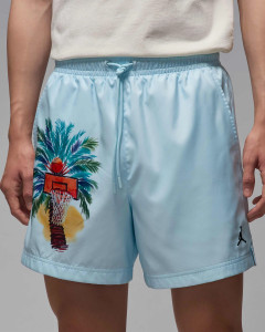 Шорти чоловічі Jordan Essentials Shorts IB7276-474