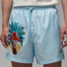 Шорти чоловічі Jordan Essentials Shorts IB7276-474