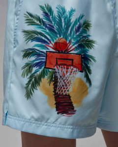 Шорти чоловічі Jordan Essentials Shorts IB7276-474