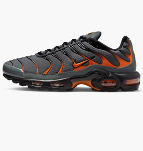 Кросівки Nike Air Max Plus FB3358-001