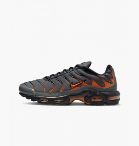 Кросівки Nike Air Max Plus FB3358-001