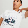 Футболка JCOHUNT TEE SS CREW NECK LN 12228391-White Jack&Jones L Білий 12228391-WHITE