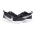 Кросівки Nike ZOOM COURT PRO HC DH0618-010