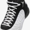 Кросівки чоловічі Jordan Jumpman Pro (DN3686-110) DN3686-110