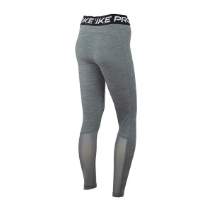 Лосини Nike 365 TIGHT CZ9779-084