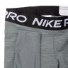 Лосини Nike 365 TIGHT CZ9779-084
