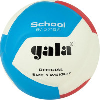 М'яч волейбольний Gala School 12 BV5715S BV5715S