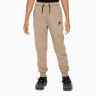 Штани Nike Tech Fleece FD3287-247