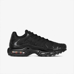 Кросівки Nike AIR MAX PLUS 604133-050