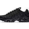 Кросівки Nike AIR MAX PLUS 604133-050