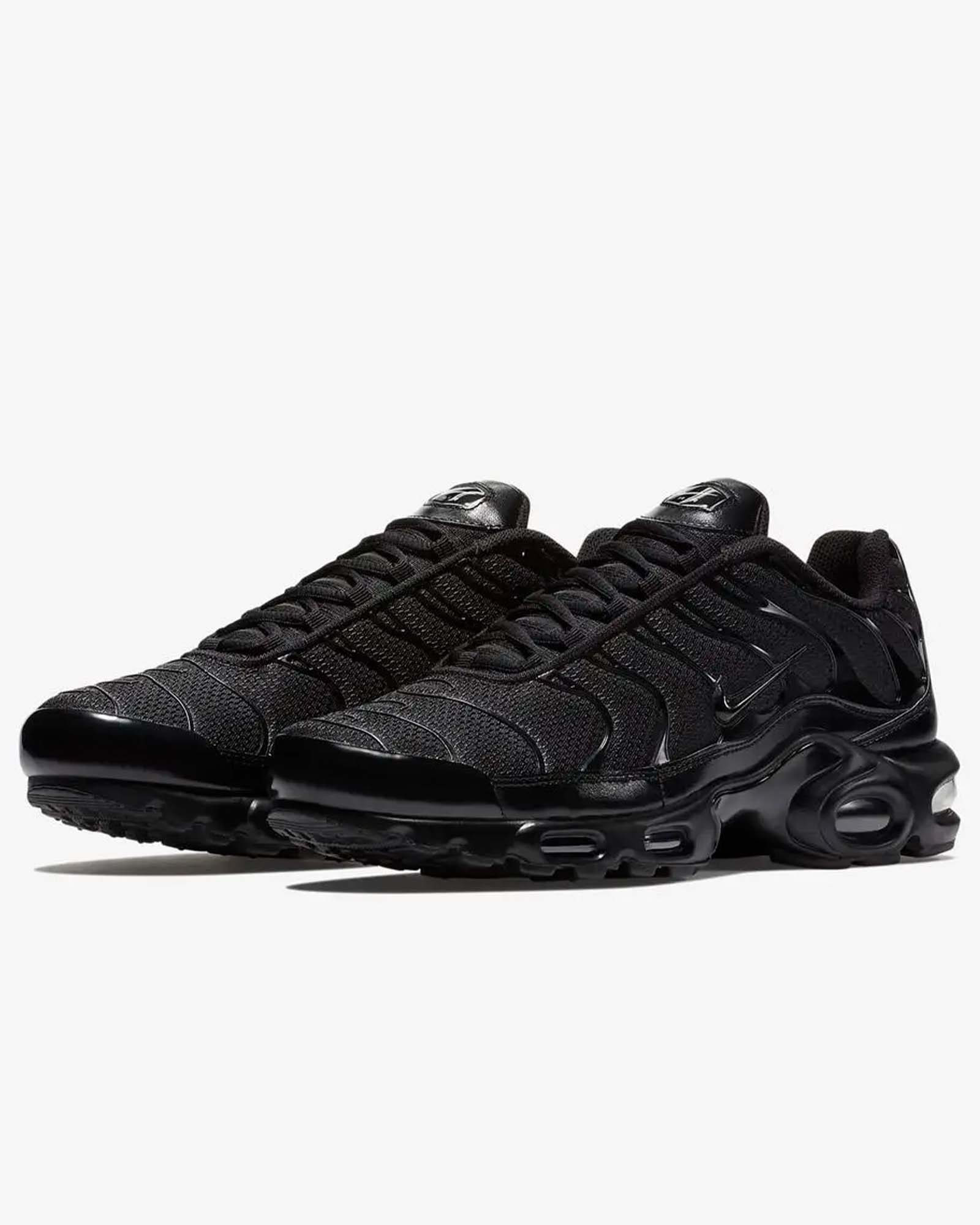 Кросівки Nike AIR MAX PLUS 604133-050