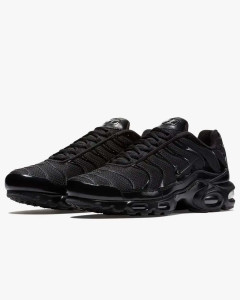 Кросівки Nike AIR MAX PLUS 604133-050