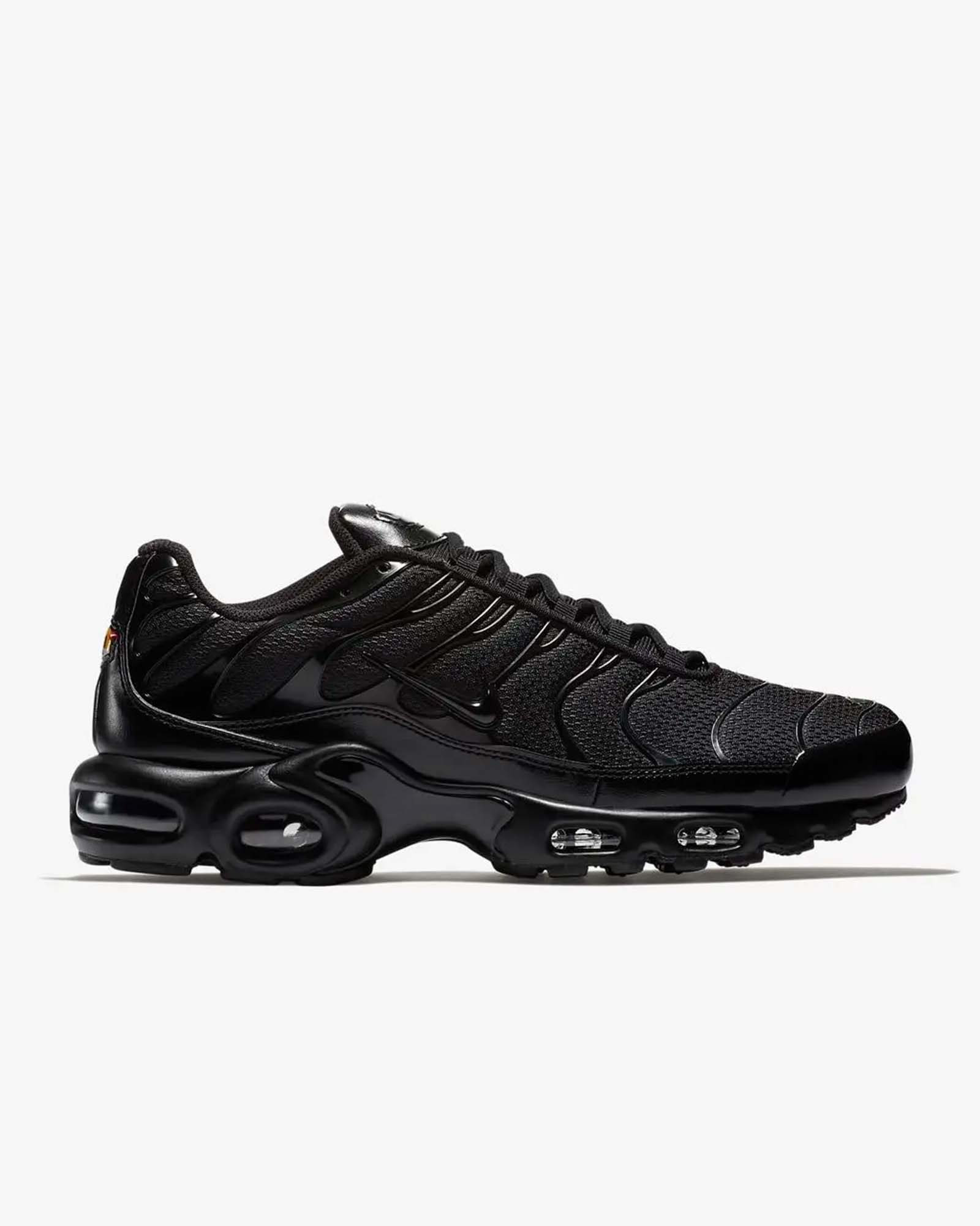 Кросівки Nike AIR MAX PLUS 604133-050