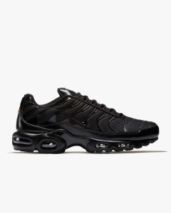 Кросівки Nike AIR MAX PLUS 604133-050