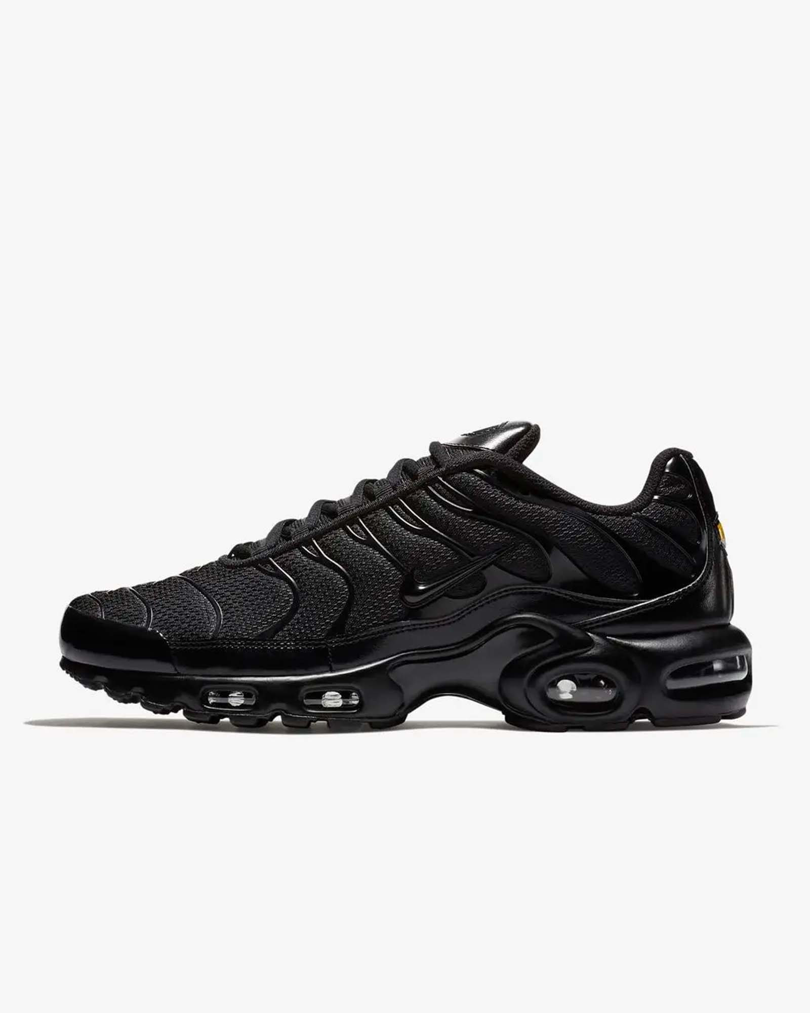 Кросівки Nike AIR MAX PLUS 604133-050
