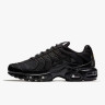 Кросівки Nike AIR MAX PLUS 604133-050