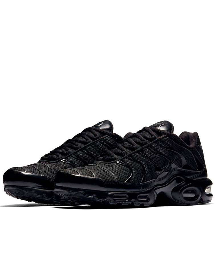 Кросівки Nike AIR MAX PLUS 604133-050