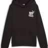 Худі Puma ESS+ MID 90s Hoodie FL B 681877-01
