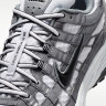 Кросівки Nike P-6000 IR2004-100
