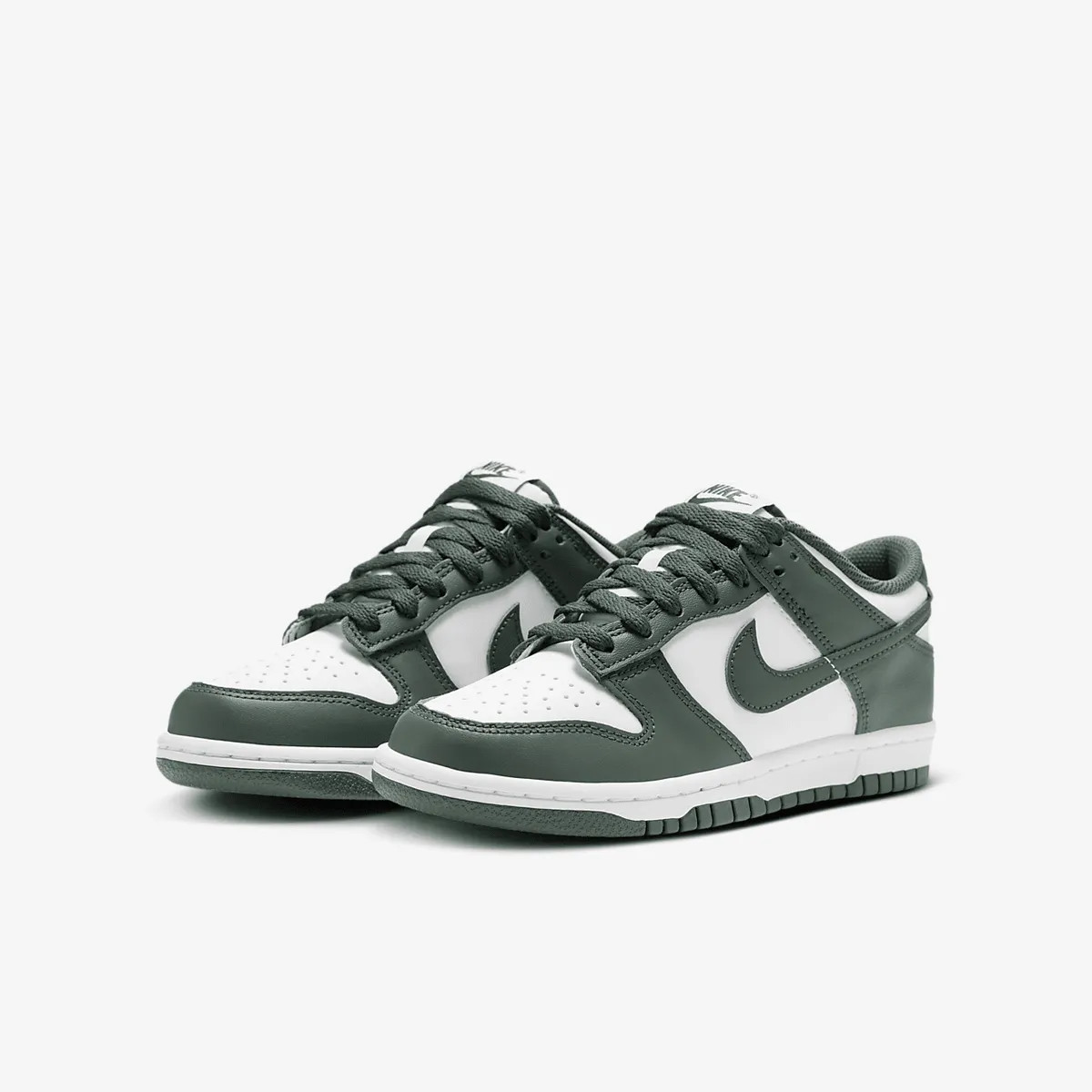 Кросівки Nike Dunk Low Retro FB9109-120