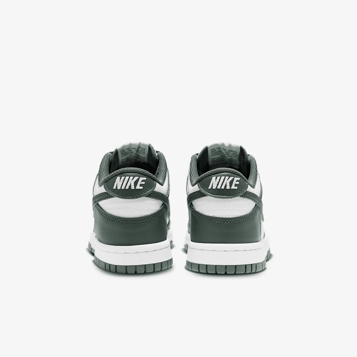 Кросівки Nike Dunk Low Retro FB9109-120