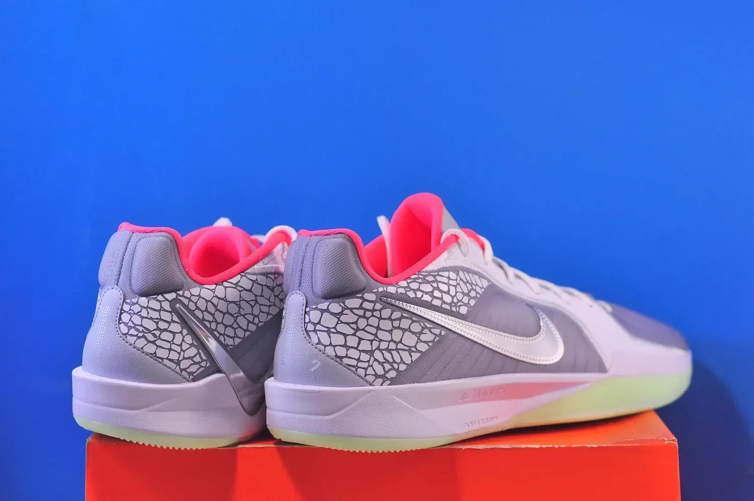 Кросівки Nike Sabrina 2 HF0670-900