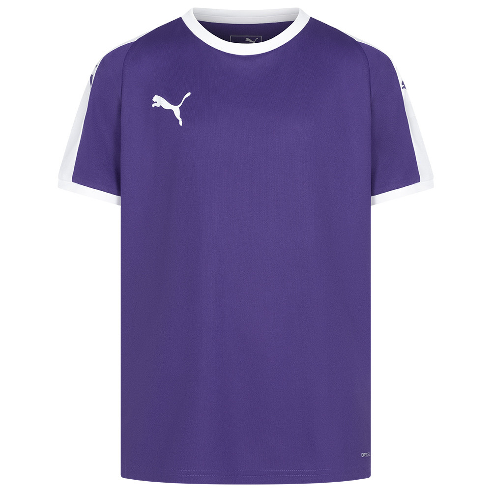 Футболка дитяча PUMA Liga Jersey 703418-10