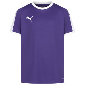 Футболка дитяча PUMA Liga Jersey 703418-10