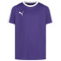 Футболка дитяча PUMA Liga Jersey 703418-10